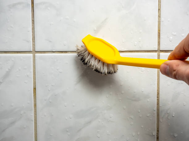 Professional Mold Removal in Placentia, CA