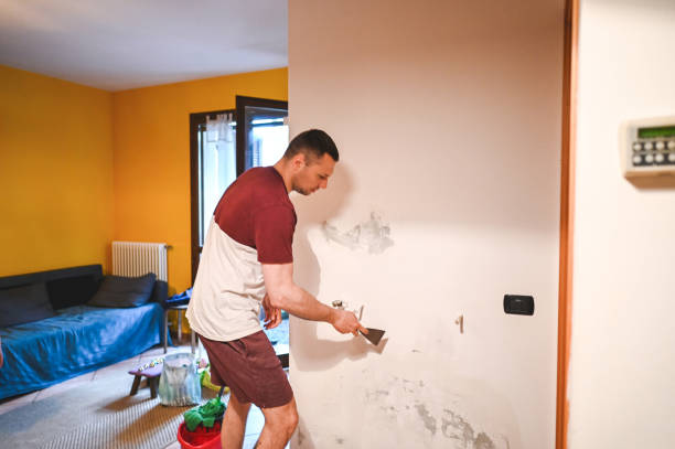 Best Toxic Mold Removal  in Placentia, CA